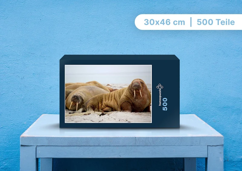 91001 Tierwelt - Walross Puzzle
