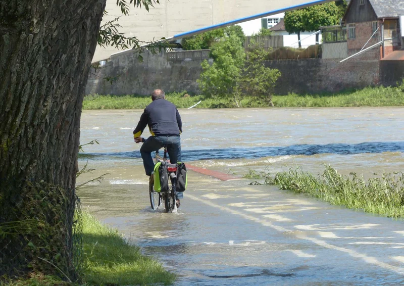 89982 Fortbewegung - Radfahrer Puzzle