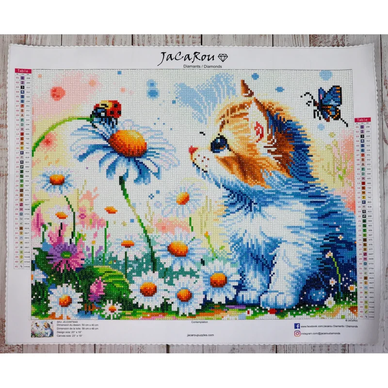 Diamond Painting - Contemplation
