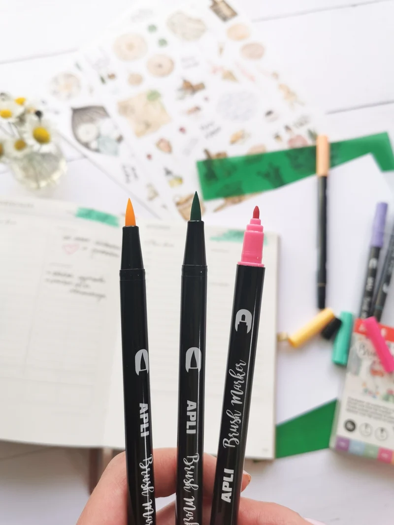 Doppelseitige Brush Marker – 12 Farben