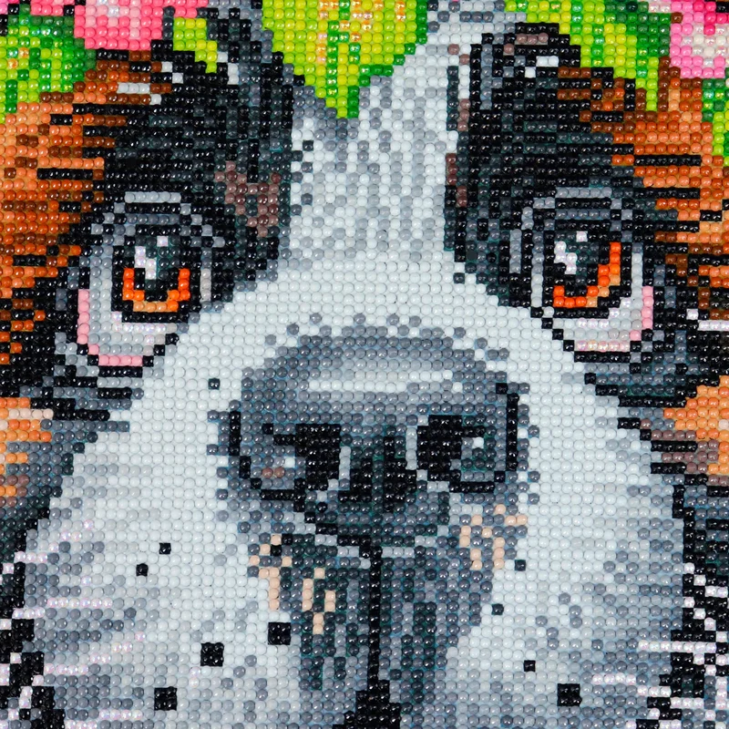 Diamond Painting - St-Bernard