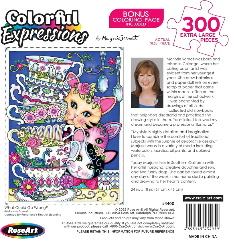 Colorful Expressions - What Could Go Wrong? (300 XL)