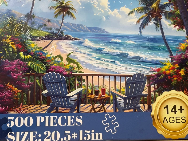 PFG Beach Vacation (500pcs) (Usage/Used - PUZZLES FOR GOOD)