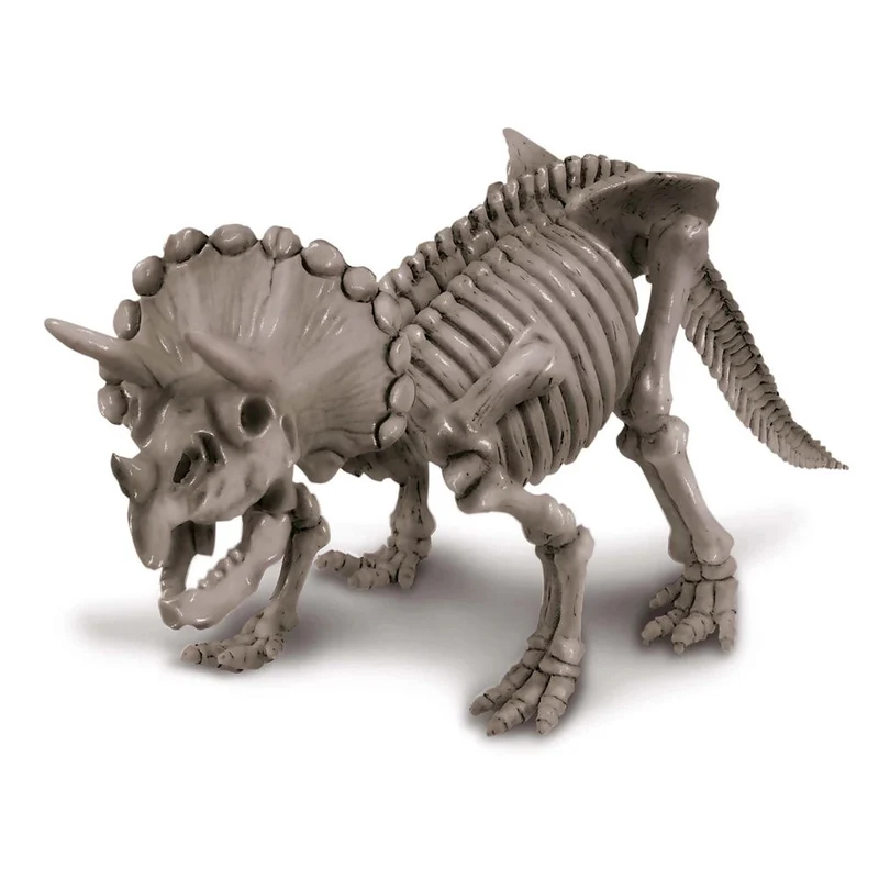 4m Dino Ausgrabungsset - Triceratops