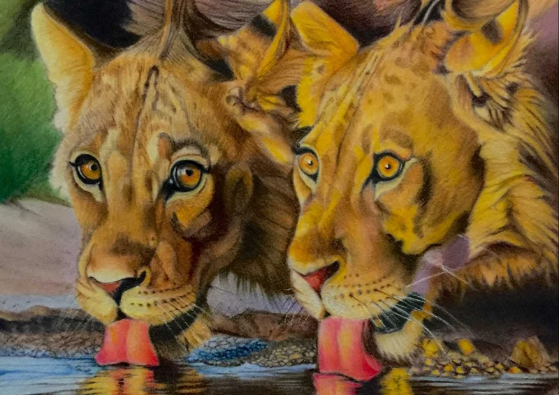 90135 Hintergründe - Löwen Puzzle