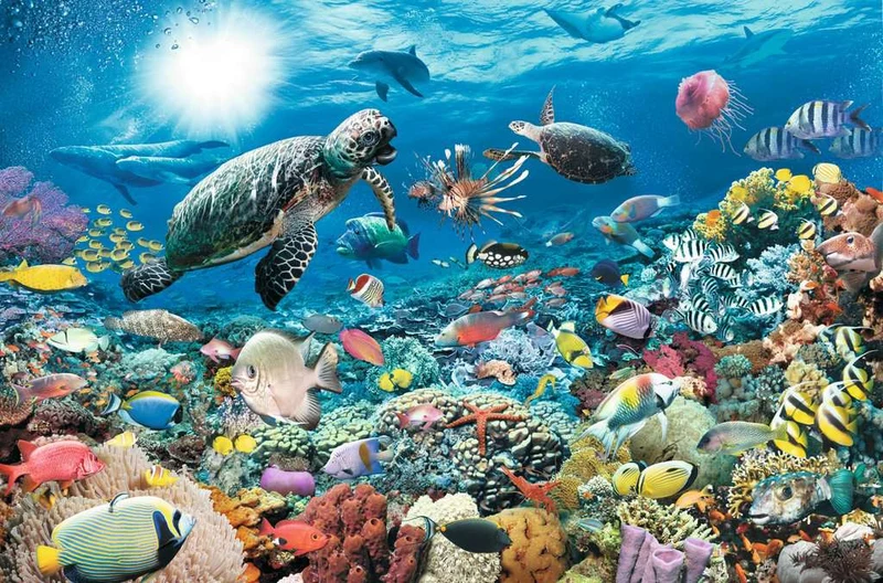 DMG Ravensburger Beneath The Sea, Walter Pepperle (5000pcs) Damaged Box