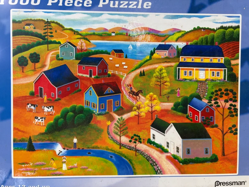 PFG Americana (Usage/Used - PUZZLES FOR GOOD)