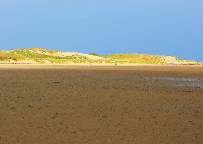 91745 Natur - Wattenmeer Puzzle