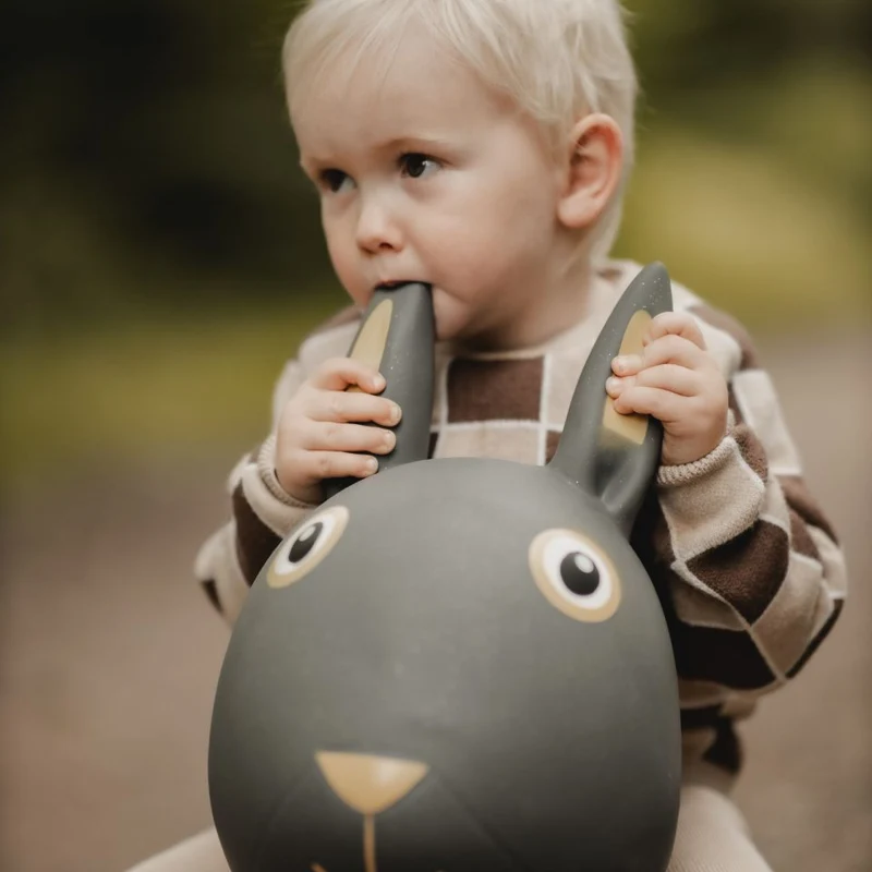 Springer – Hase
