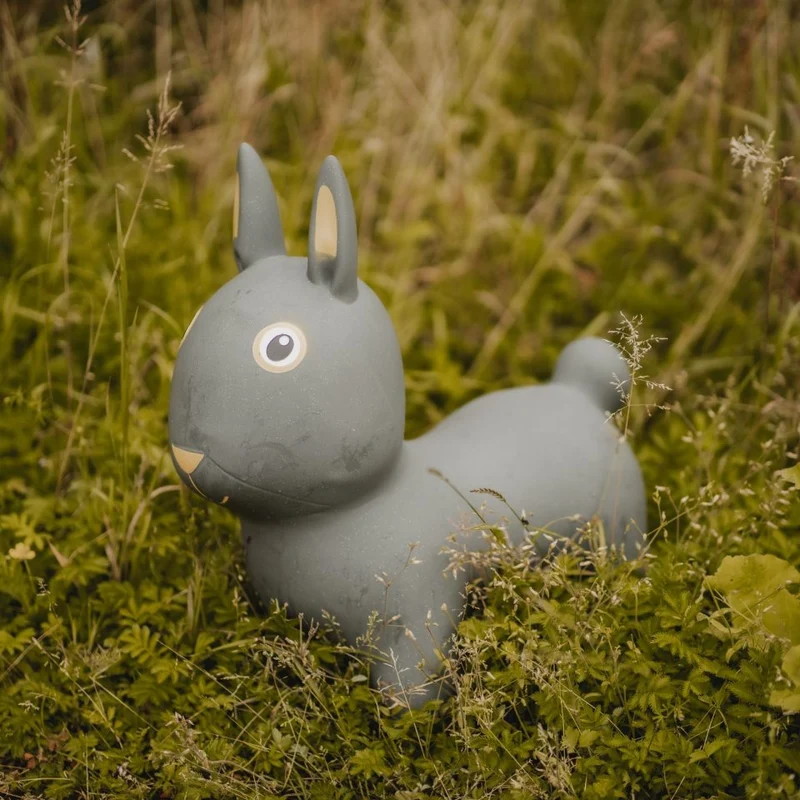 Springer – Hase