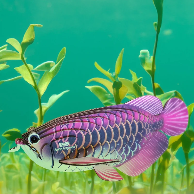 Öko-Puzzle 3D - Asiatischer Arowana
