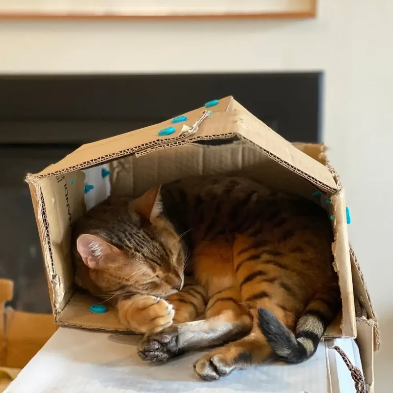 Werkzeugsatz für DIY-Konstruktionen – Explore