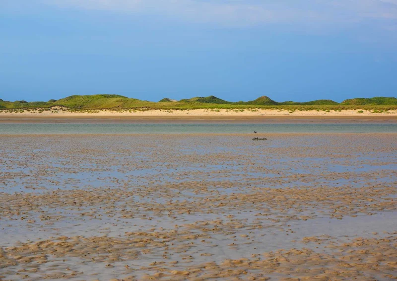 92062 Natur - Wattenmeer Puzzle