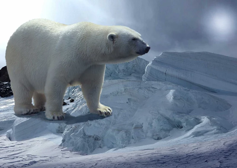 93850 Tierwelt - Eisbär Puzzle