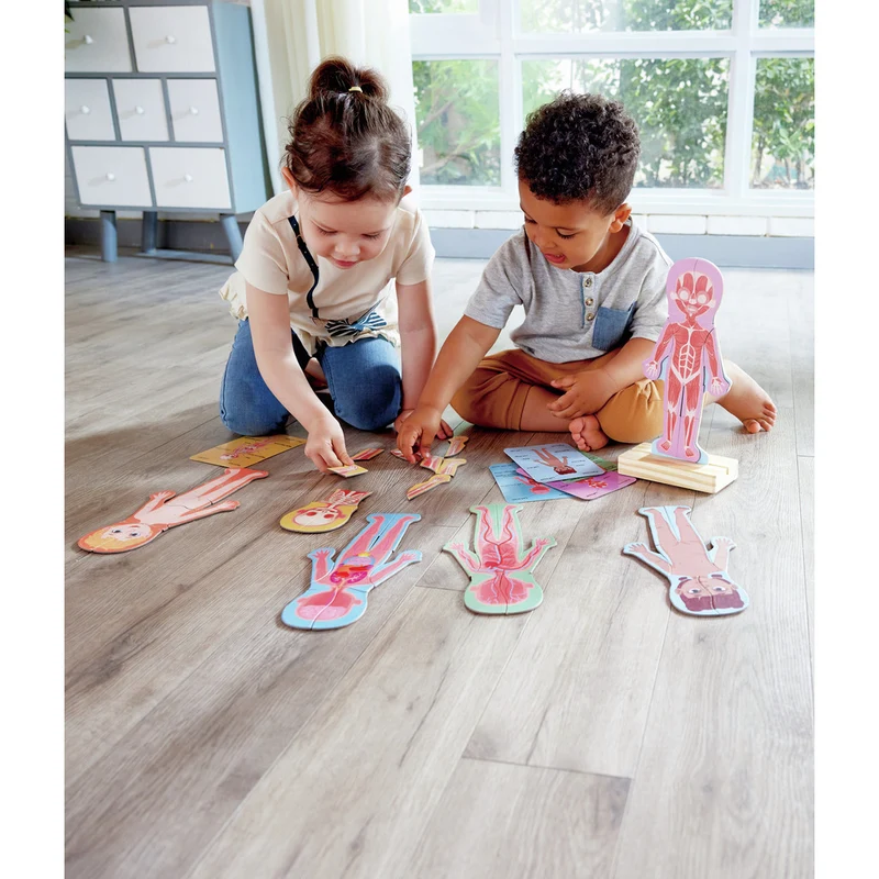 Human Body Magnetic Puzzle