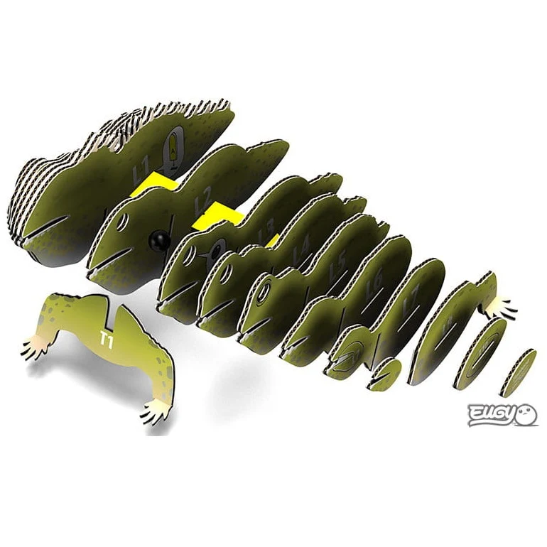 Öko-Puzzle 3D – Schieferzahn