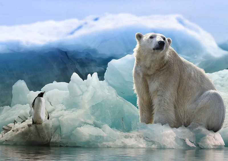 94383 Tierwelt - Eisbär Puzzle