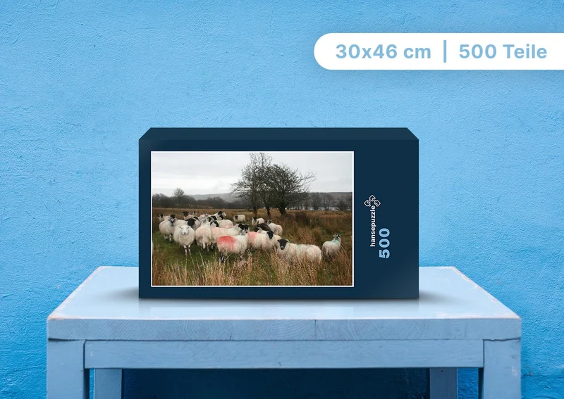 96538 Tierwelt - Schafe Puzzle