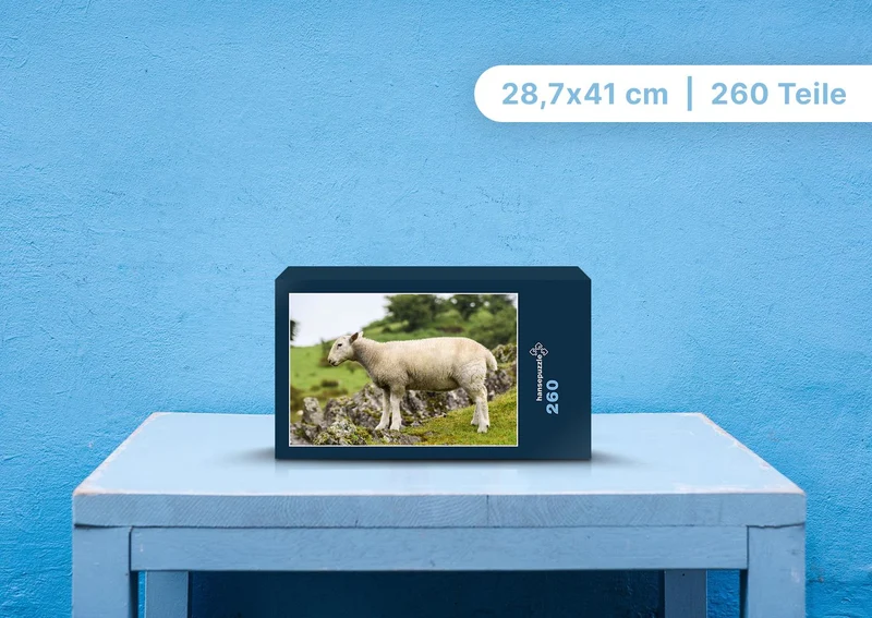96679 Tierwelt - Schaf Puzzle