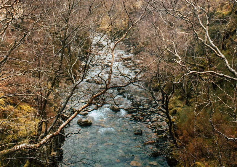 94918 Natur - Fluss Puzzle