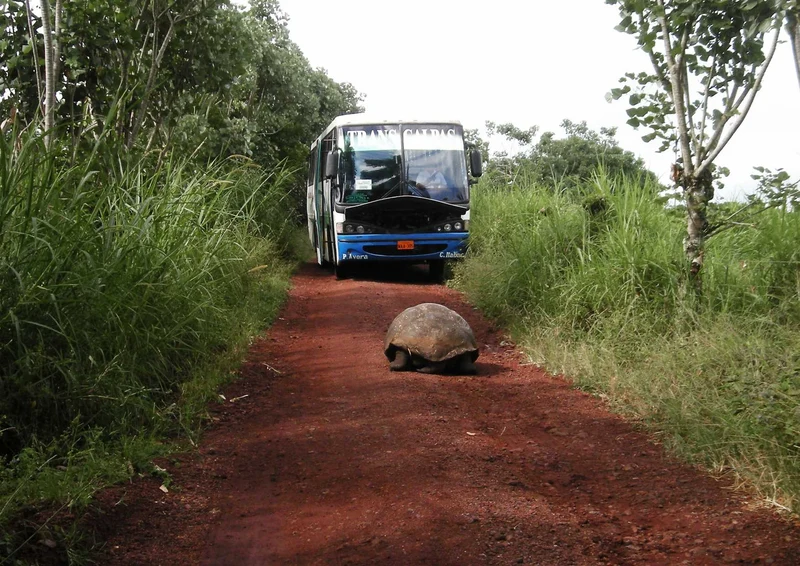 95236 Reisen - Bus Puzzle