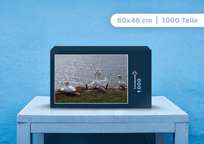 96911 Tierwelt - Basstölpel Puzzle