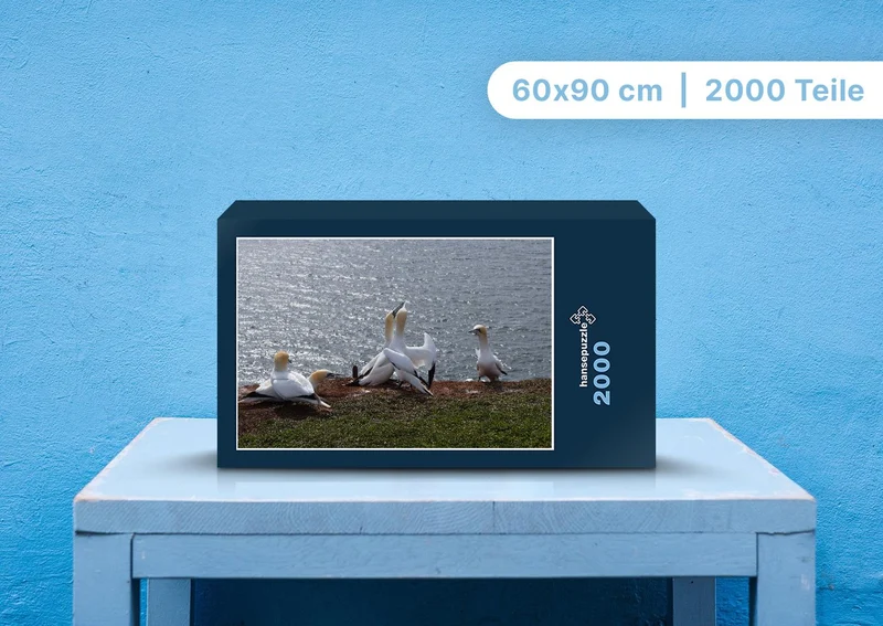 96911 Tierwelt - Basstölpel Puzzle