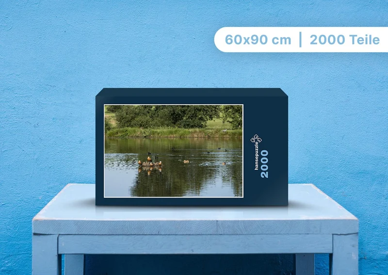 96930 Tierwelt - Enten im Teich Puzzle