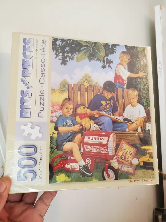 PFG The Boys of Summer (Usagé/Used - PUZZLES FOR GOOD)