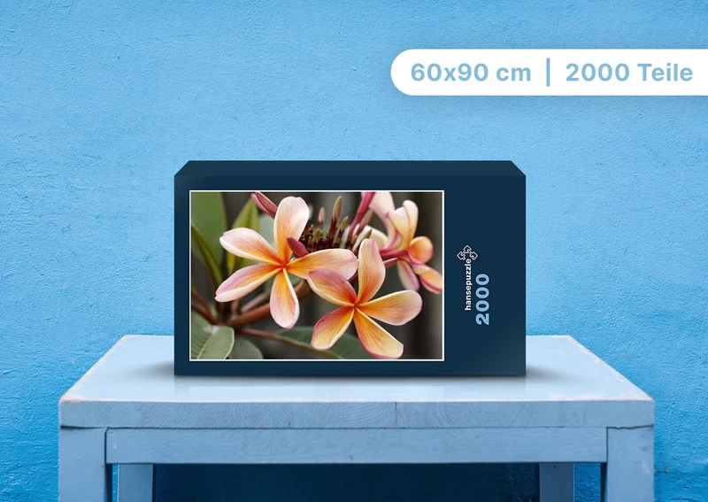 97370 Natur - Blühende Blumen Puzzle