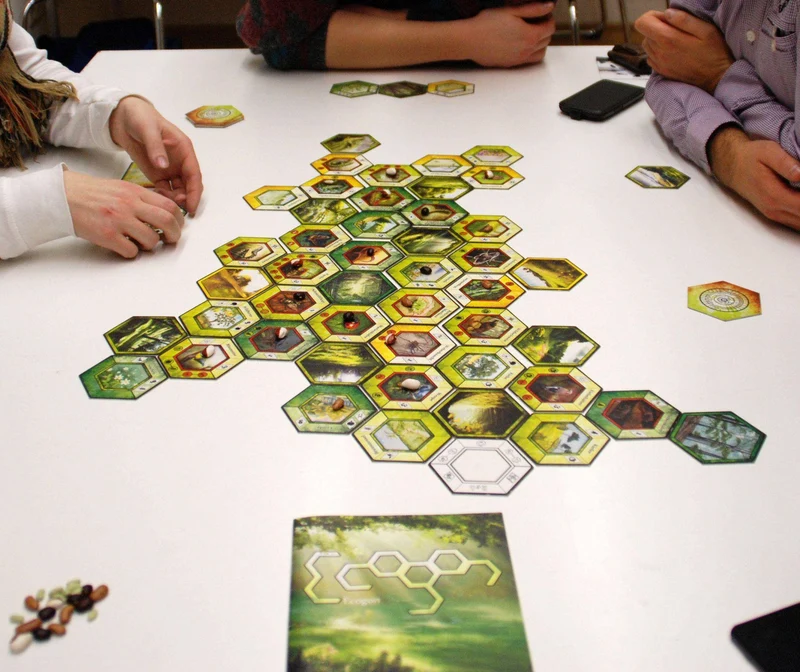 Ecogon (2. Auflage)