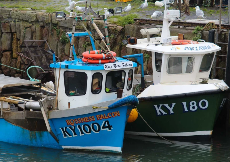 96162 Fortbewegung - Boote am Ufer Puzzle