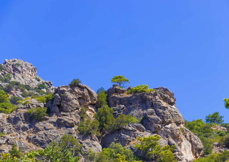 97811 Natur - Felsen Puzzle