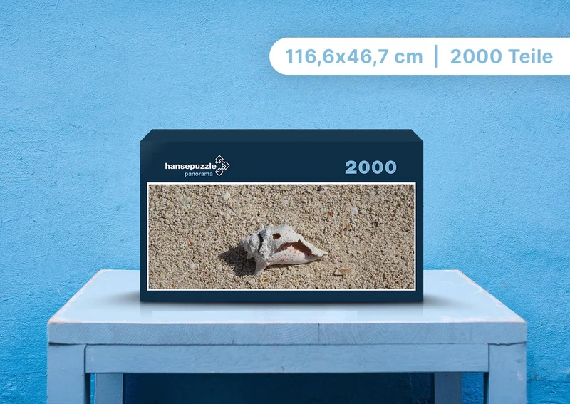 98021 Hintergründe - Schneckenhaus Puzzle