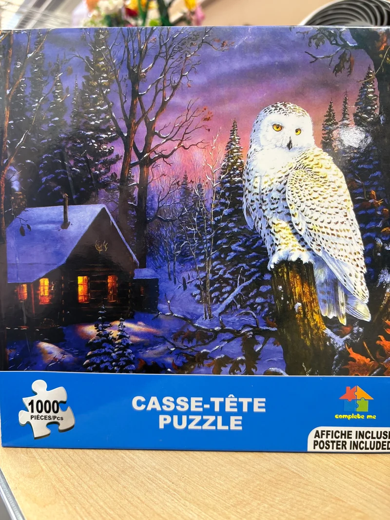 PFG Snow Owl (Usage/Used - PUZZLES FOR GOOD)