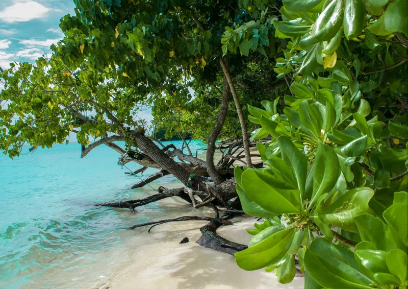 98204 Natur - Strand Puzzle