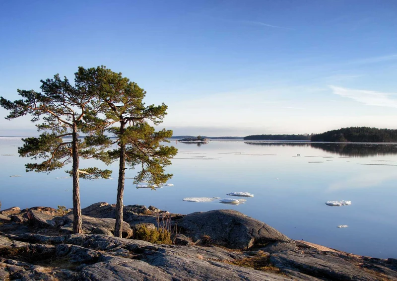 98104 Natur - Seenlandschaft Puzzle