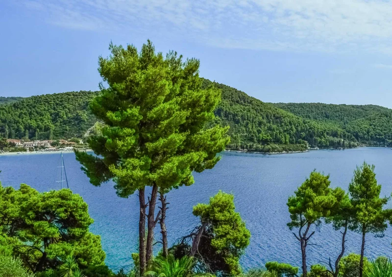 98135 Natur - Seenlandschaft Puzzle