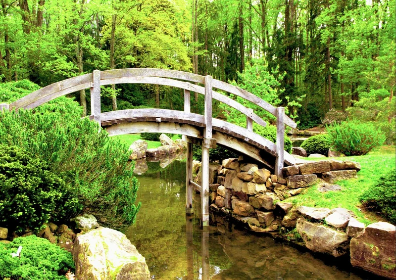 98381 Natur - Brücke Puzzle