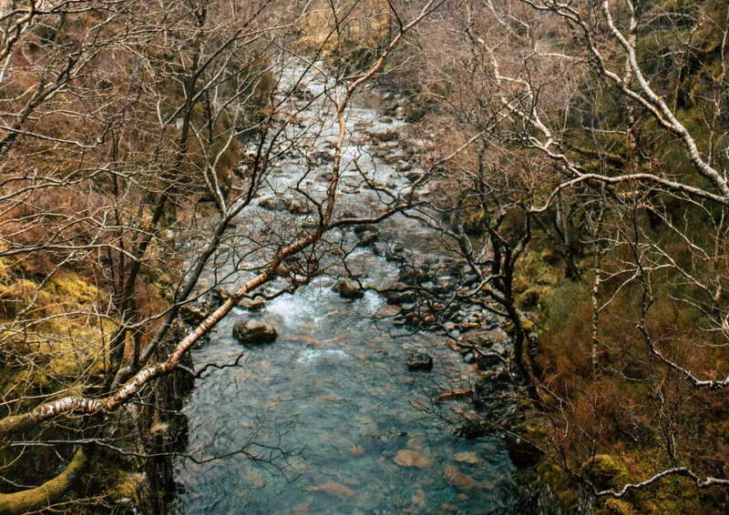 97904 Natur - Fluss Puzzle