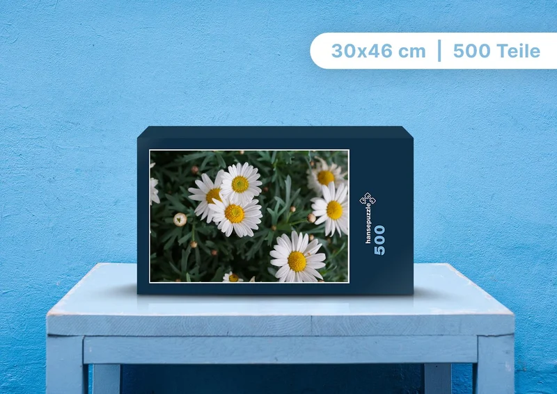 98799 Natur - Gänseblümchen Puzzle