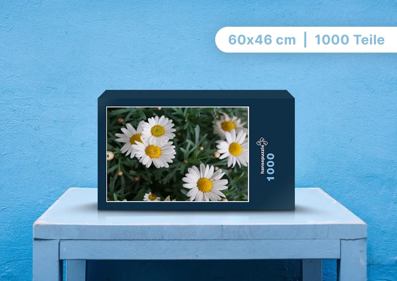 98799 Natur - Gänseblümchen Puzzle