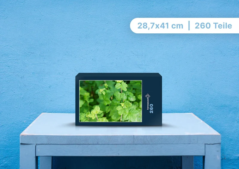 98906 Natur - Blätter Puzzle