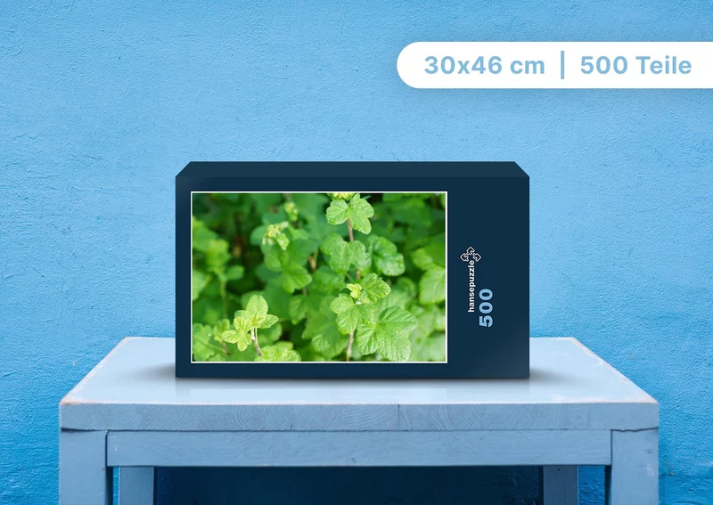 98906 Natur - Blätter Puzzle