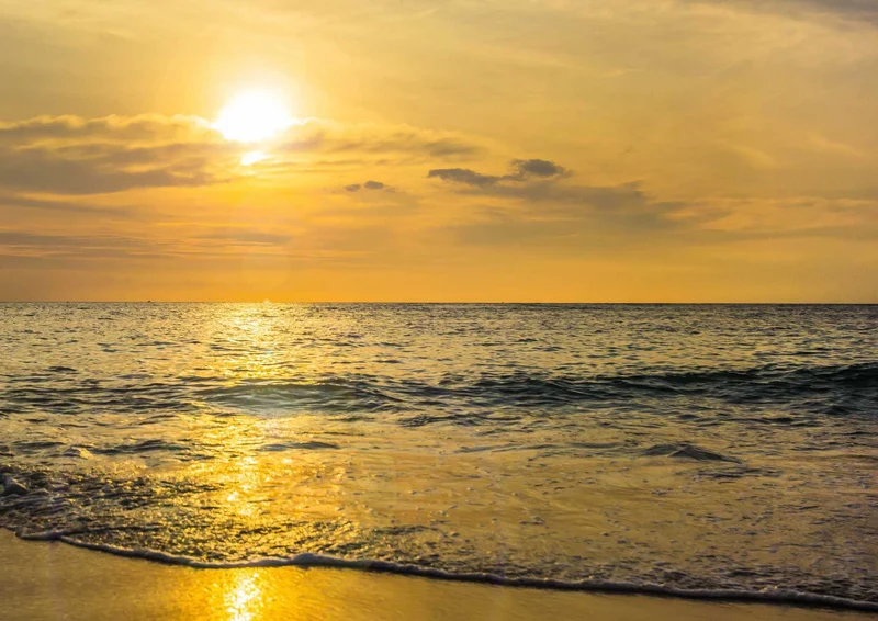 98000 Natur - Sonnenaufgang am Meer Puzzle