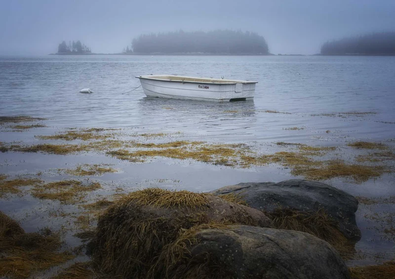 98029 Natur - Boot im See Puzzle