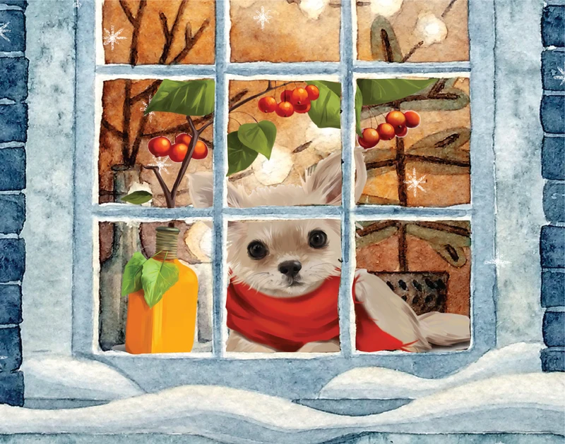Holiday Pet Collection (5x48pcs)
