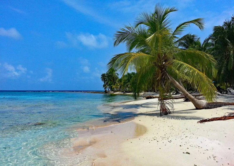 98621 Natur - Panama Puzzle