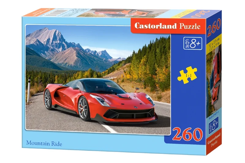 PFG Mountain Ride, Castorland (Usage/Used - PUZZLES FOR GOOD)