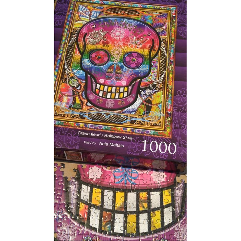 PFG Rainbow Skull, Anie Maltais (Usage/Used - PUZZLES FOR GOOD)